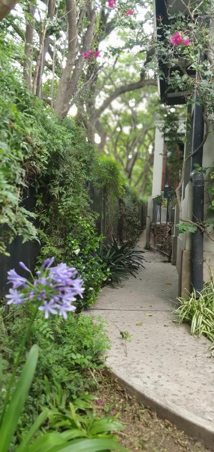Los Tarcos Guest House San Salvador de Jujuy Zewnętrze zdjęcie
