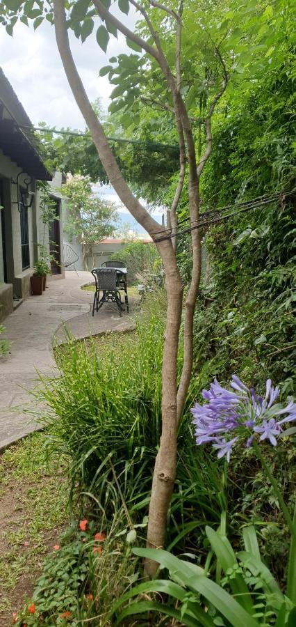 Los Tarcos Guest House San Salvador de Jujuy Zewnętrze zdjęcie